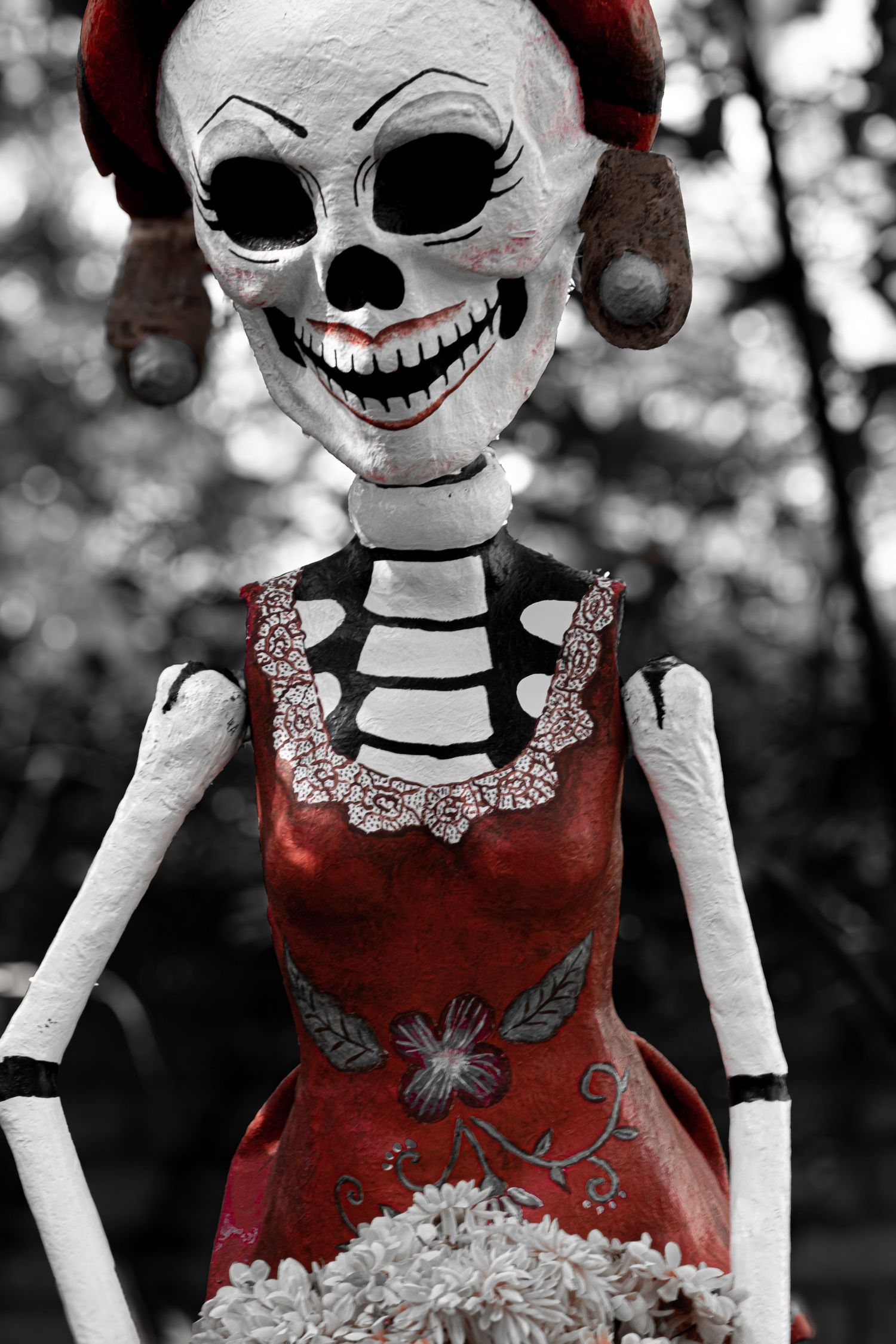 Creepy skeleton doll wearing a red dress with lace collar in selective color photography.