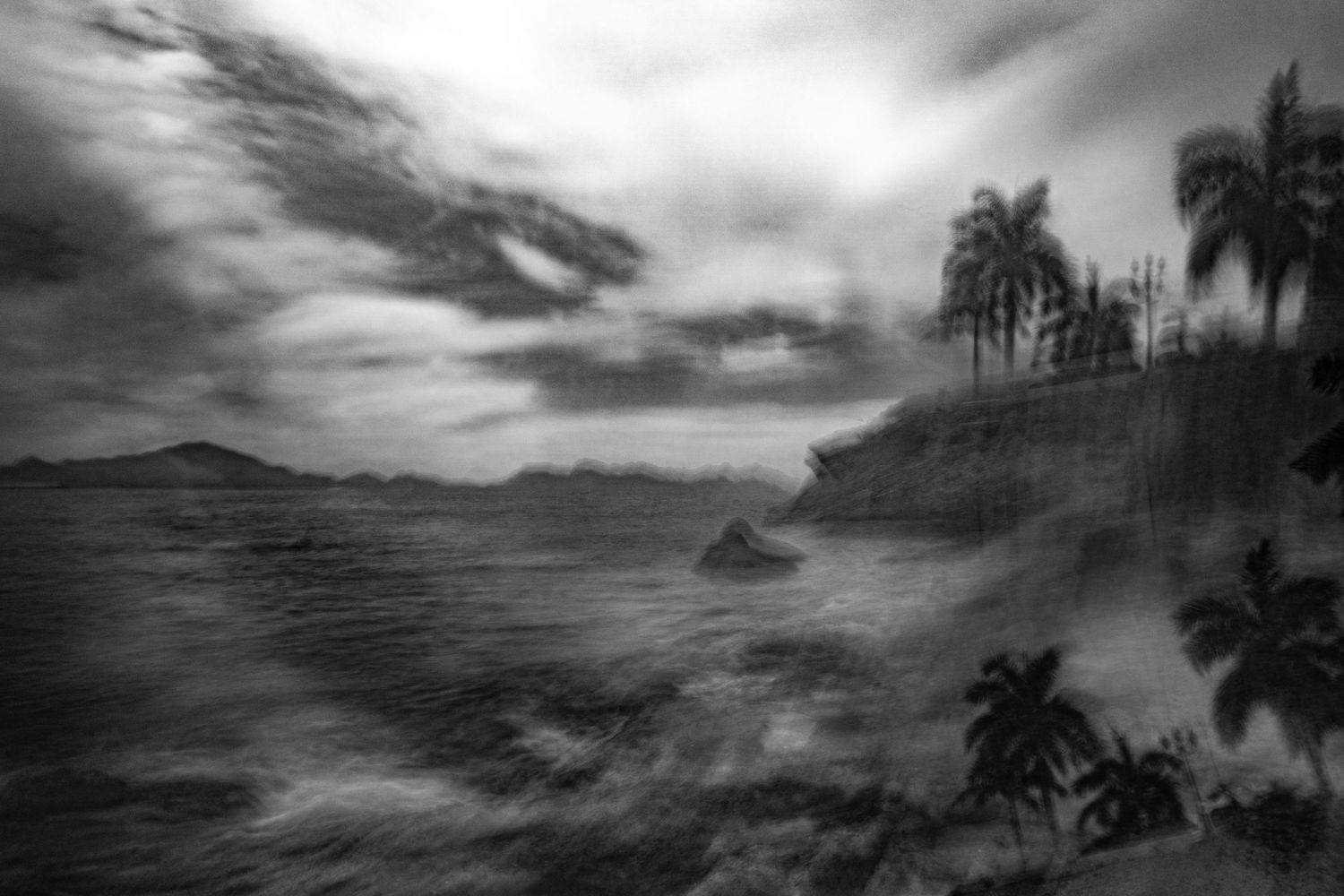 Moody tropical landscape with palm trees and mountains in misty conditions.