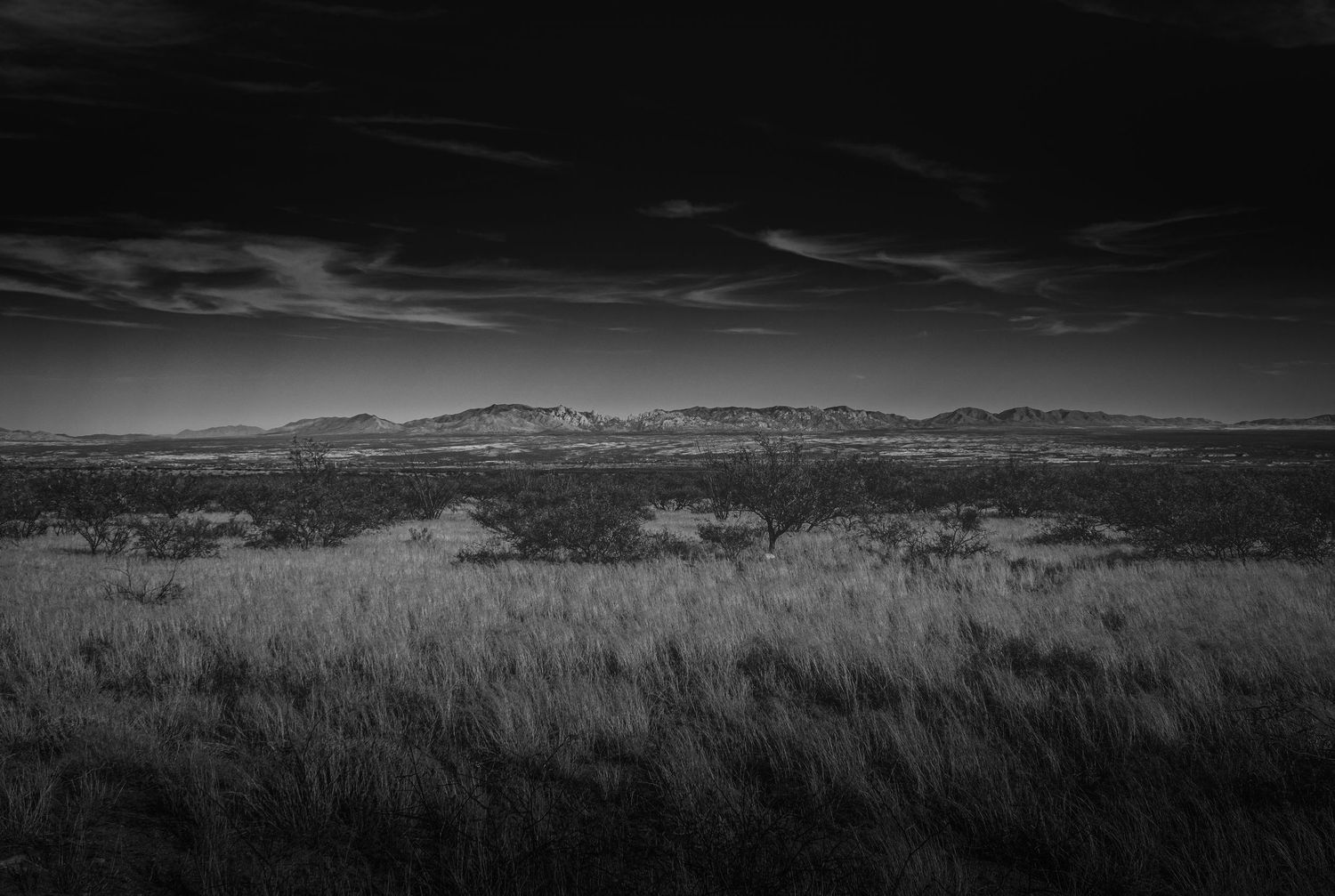 Dramatic black and white landscape of mountains rising above windswept grassland.