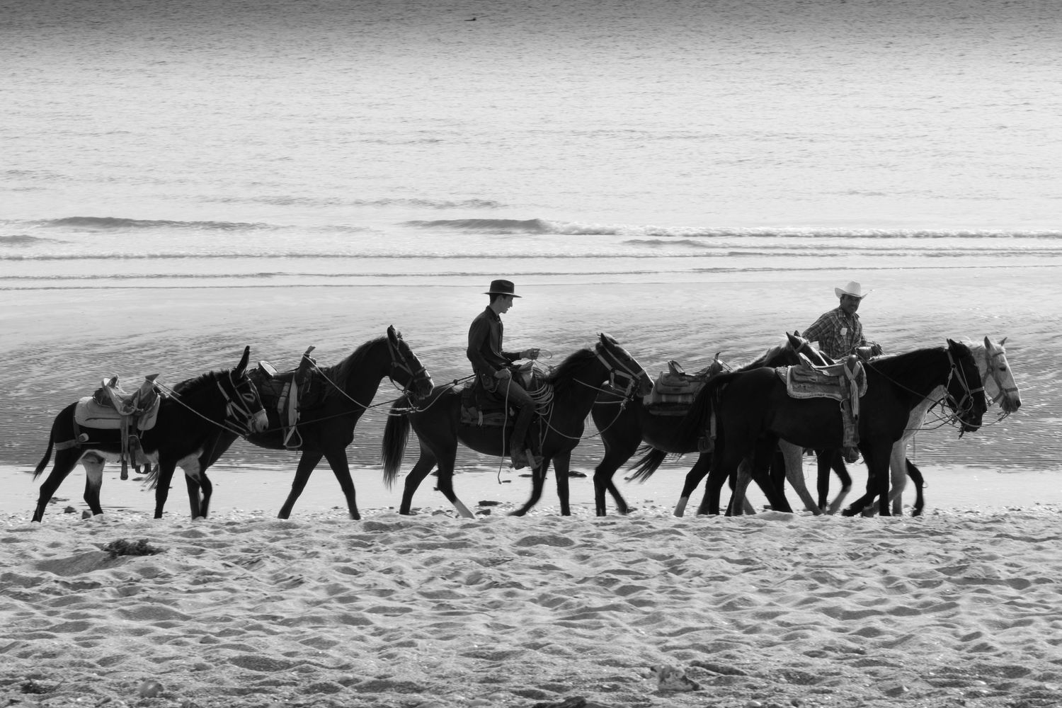 Silhouettes of horses and riders walking along a misty beach at dusk.