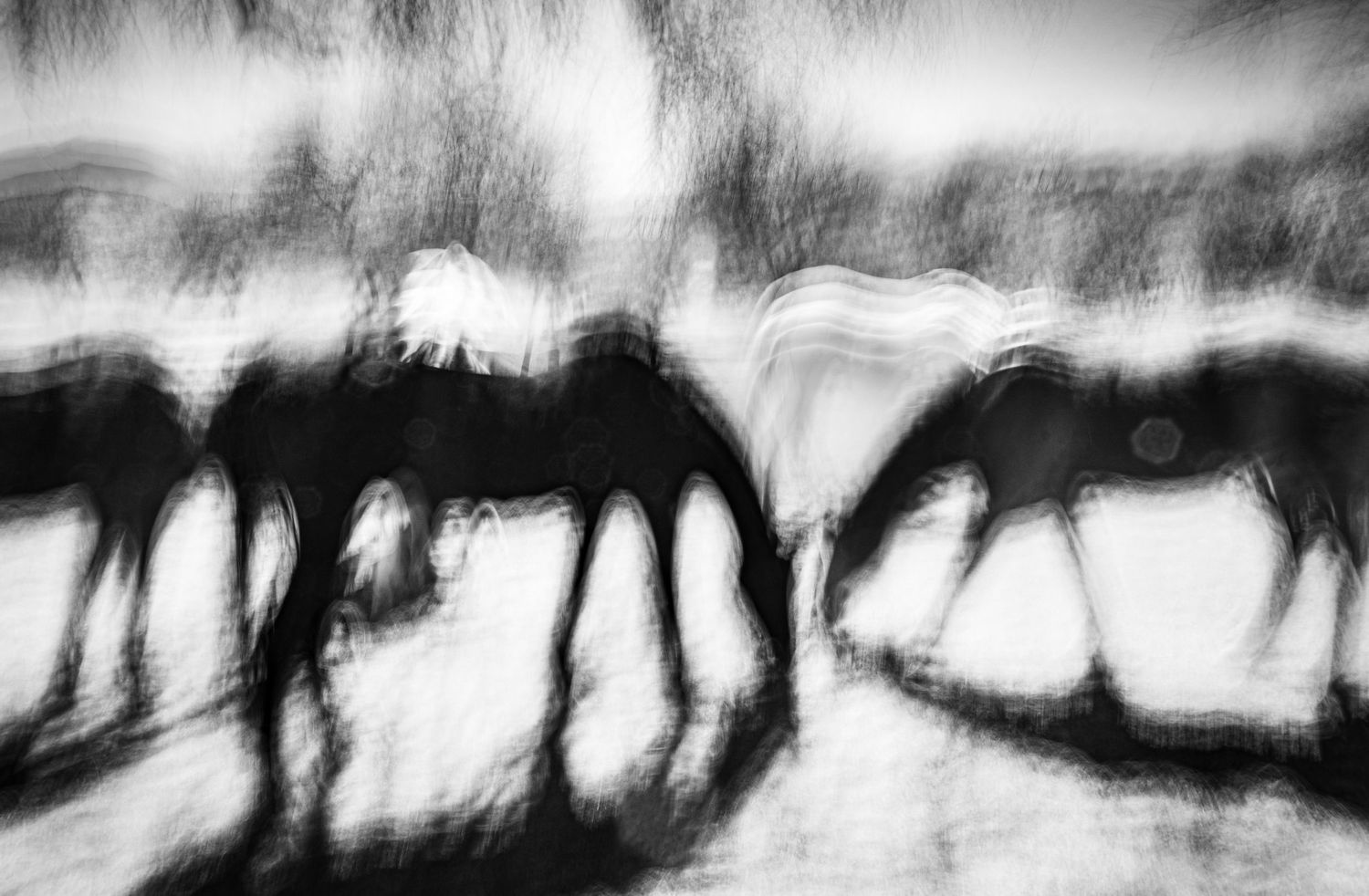 Atmospheric black and white silhouettes creating a dreamlike landscape.