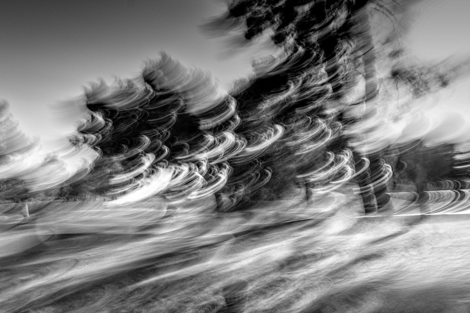 Motion-blurred landscape with dark trees and dramatic cloudy sky in black and white.