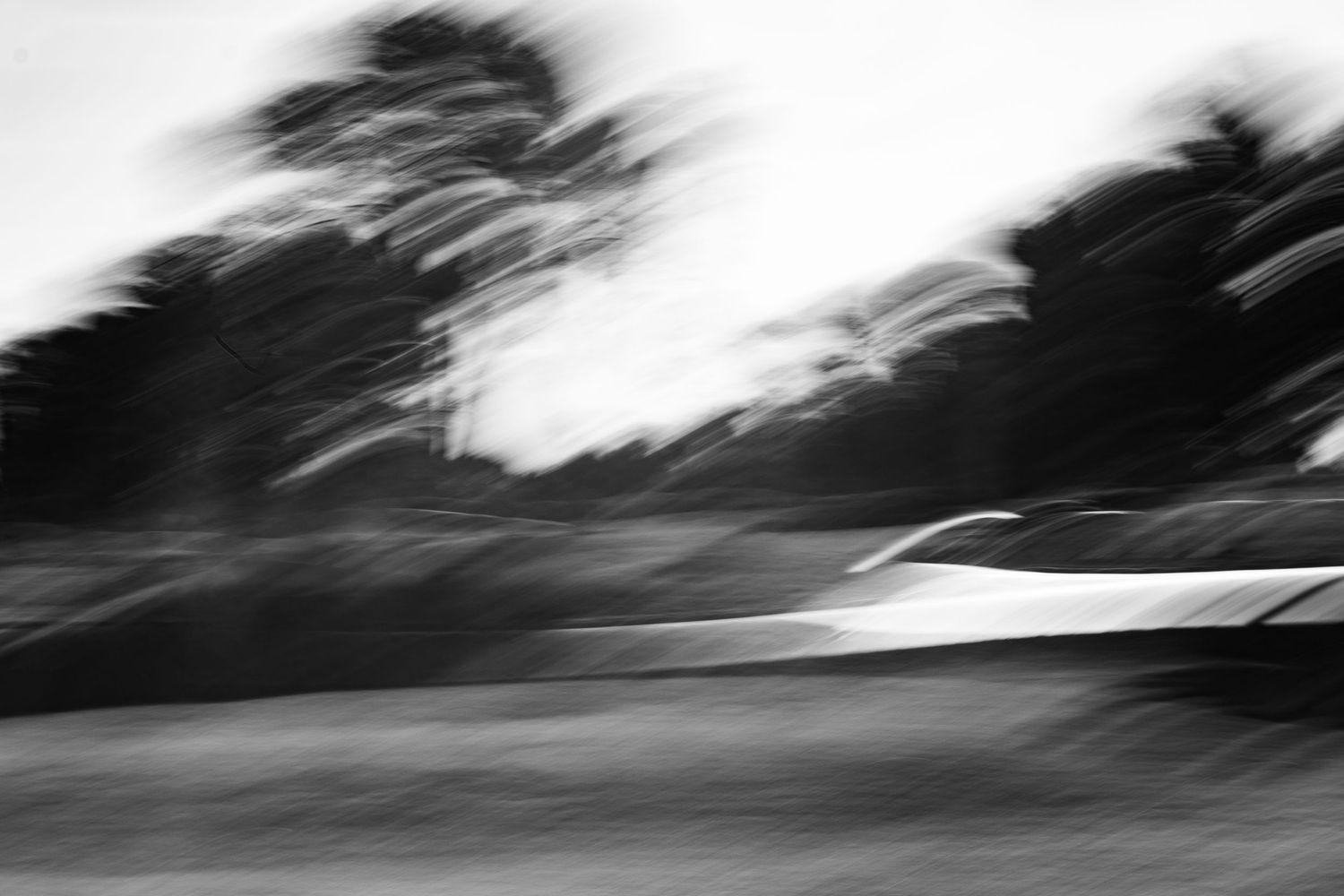 Abstract black and white motion blur of trees and landscape with strong horizontal lines.