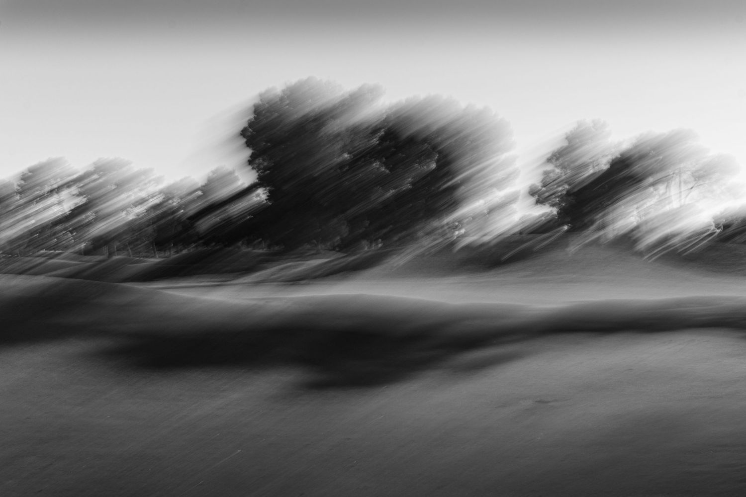 Abstract landscape photograph with blurred motion creating ethereal patterns in grayscale.