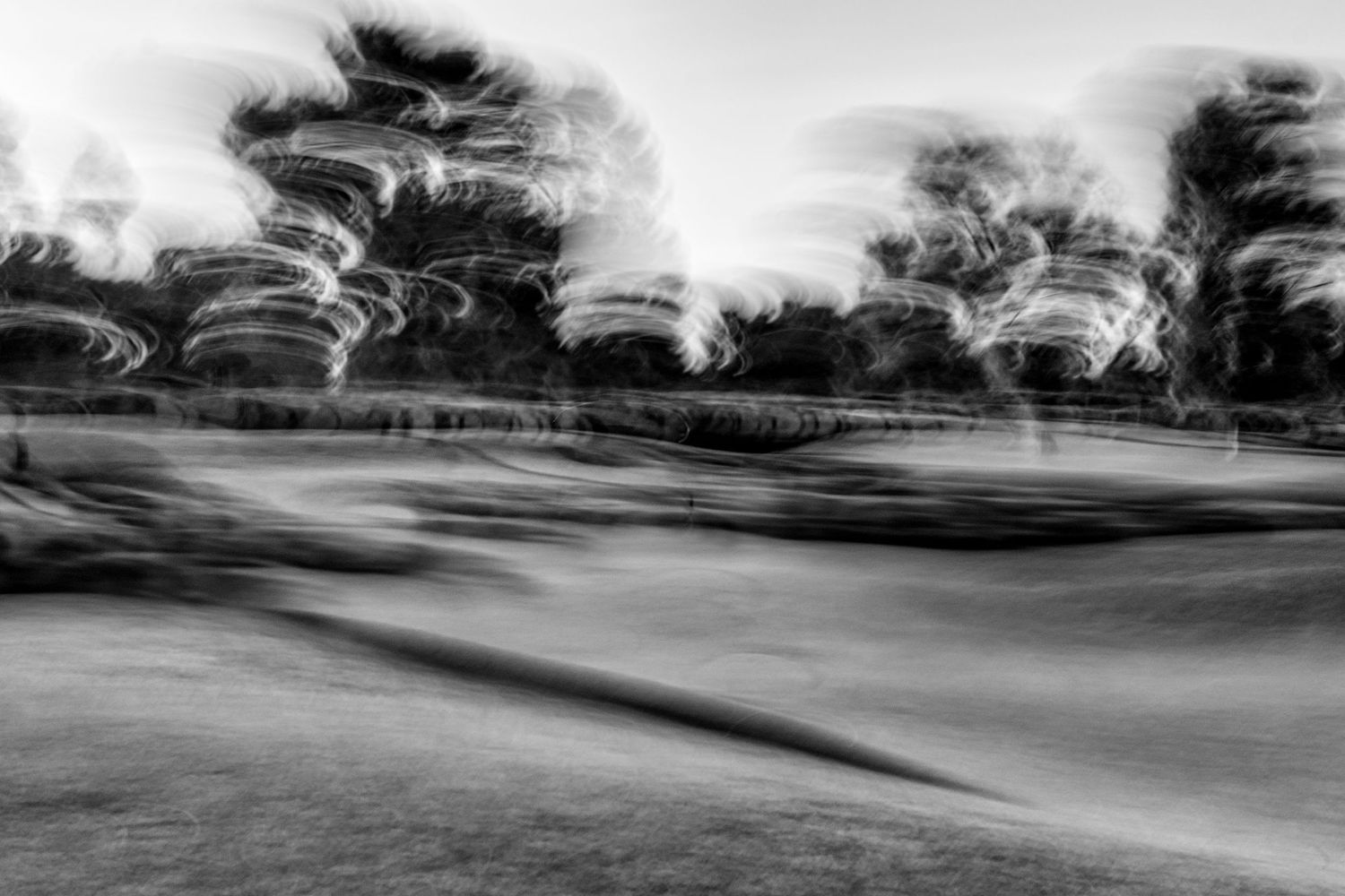 Long exposure black and white landscape showing motion-blurred trees and sky.