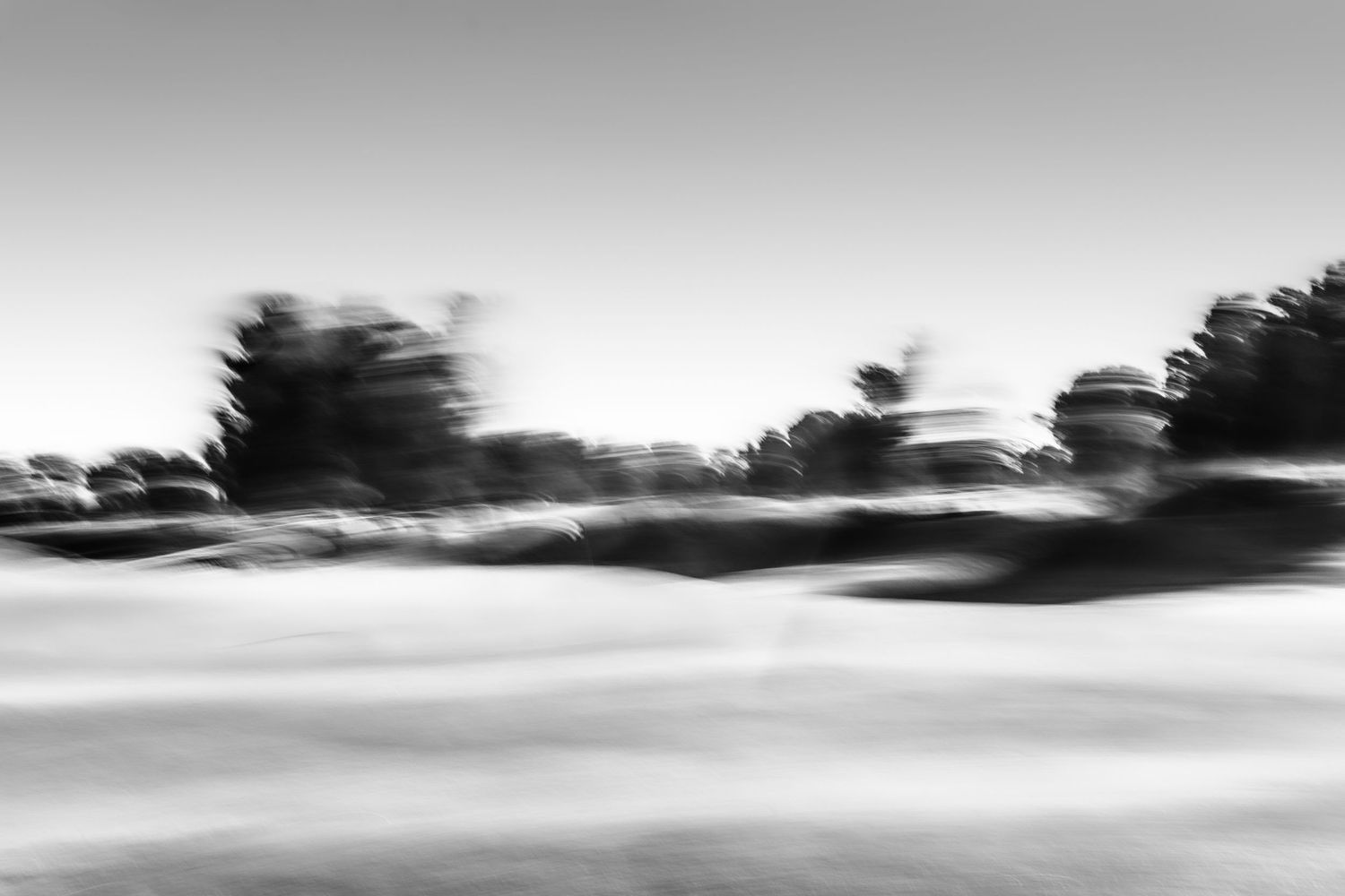 Minimalist black and white landscape with blurred trees and rolling terrain.