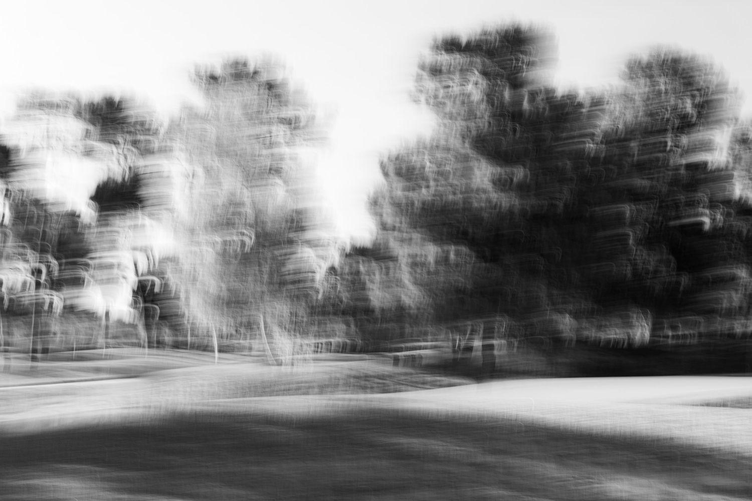 Soft focus trees and landscape creating a dreamy black and white panorama.