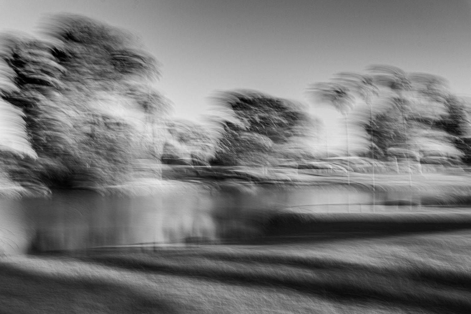 Blurred black and white landscape with trees silhouetted against a bright horizon.