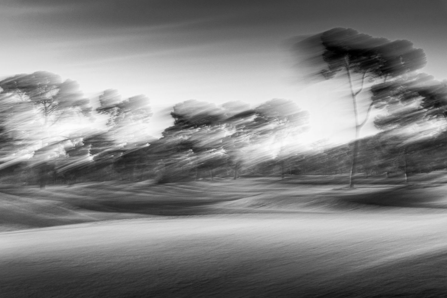 Dramatic black and white panoramic landscape with stormy clouds rolling across a moody sky.