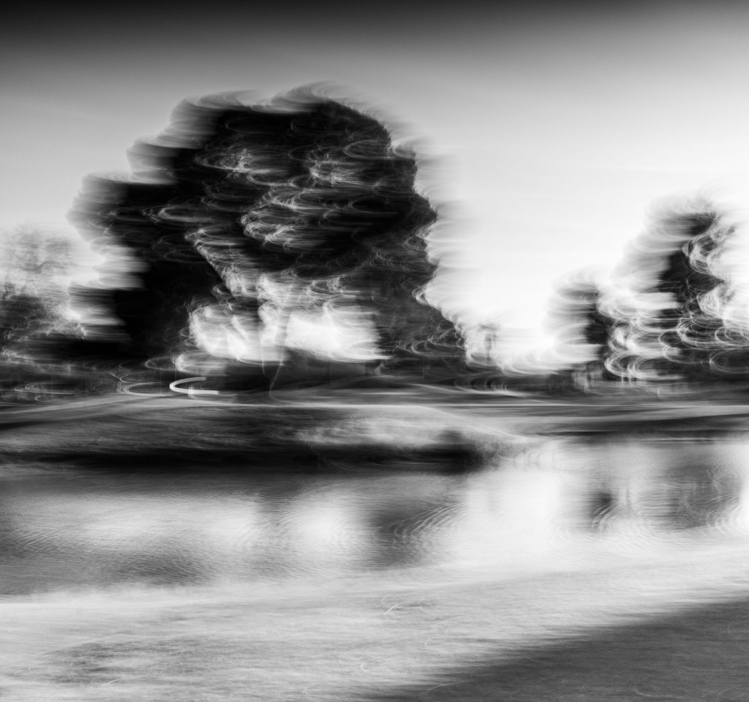 Artistic black and white motion blur of trees reflecting in water.