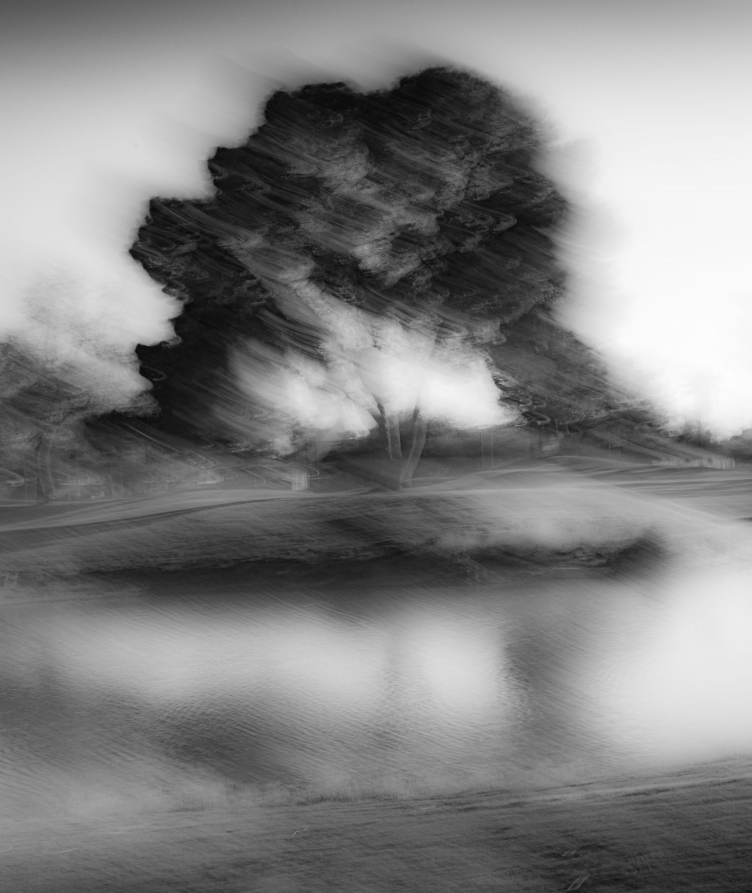 Moody black and white landscape with tree reflection in still water.