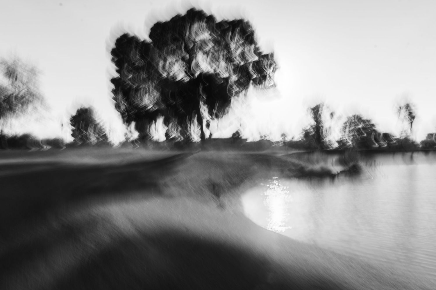 Black and white panoramic view of silhouetted trees along a misty waterfront at dusk.
