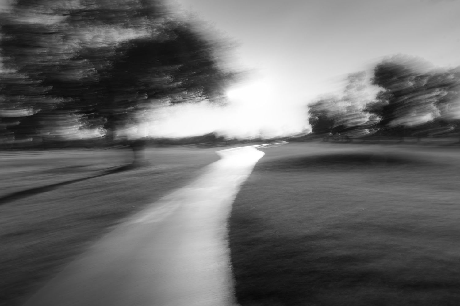 Black and white landscape with a winding path through blurred trees and grass.