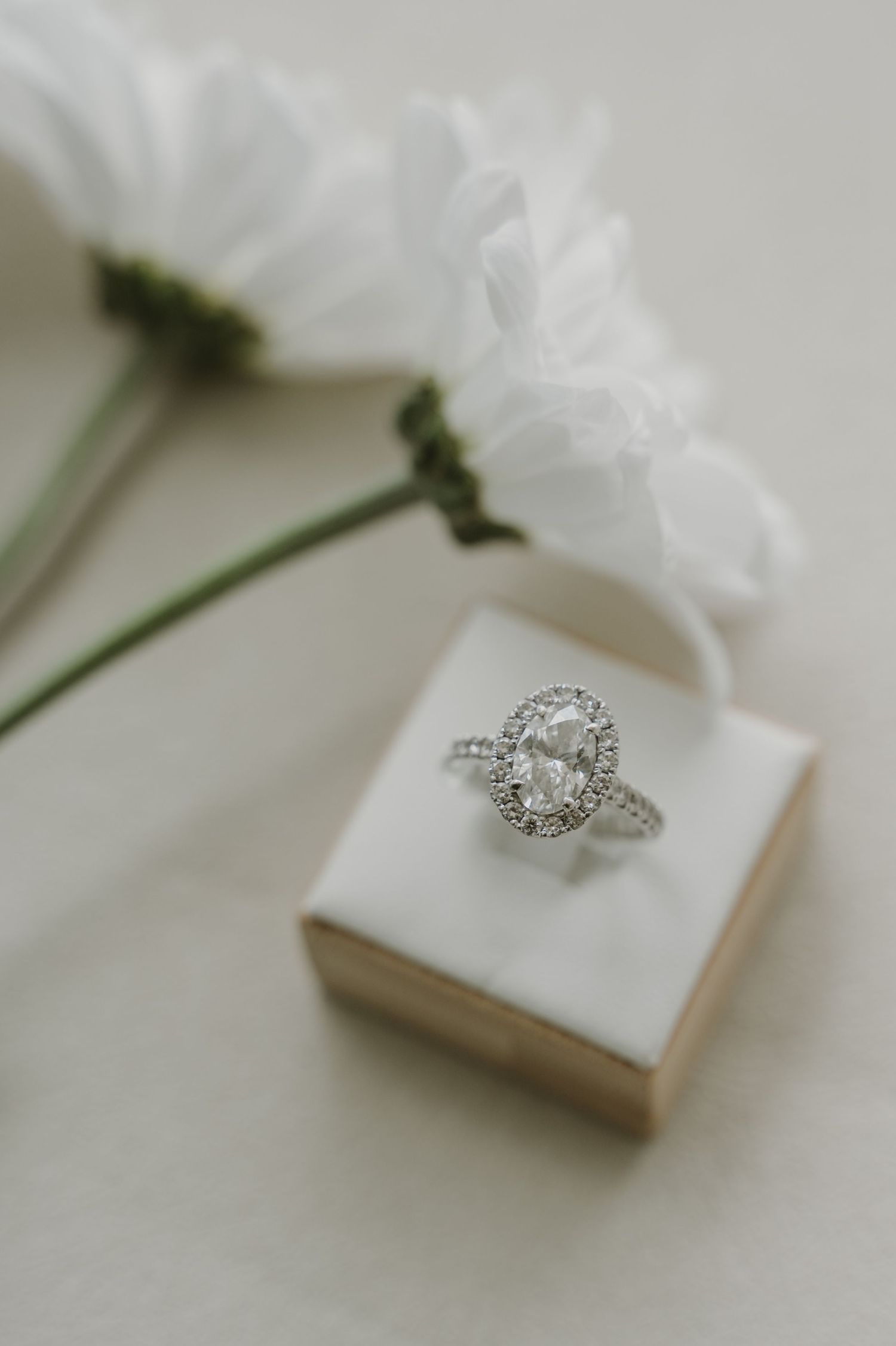 Elegant diamond engagement ring in white ring box with white daisy flower.
