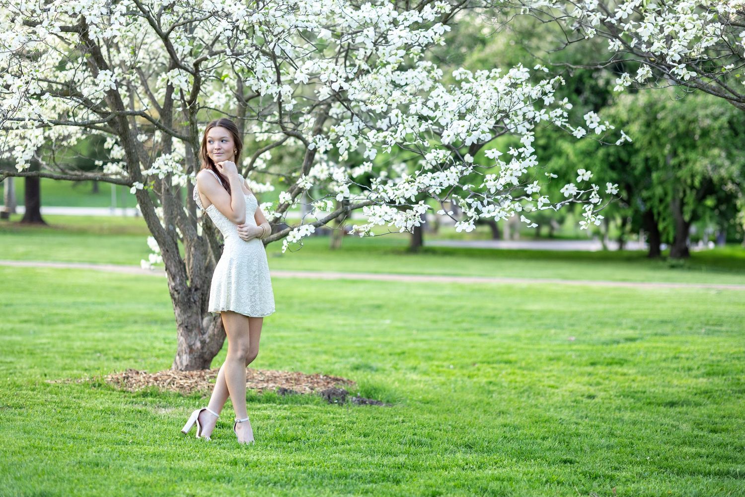 Springfield, IL Senior Photographer captures a senior near a flowering tree during a session in Central, IL