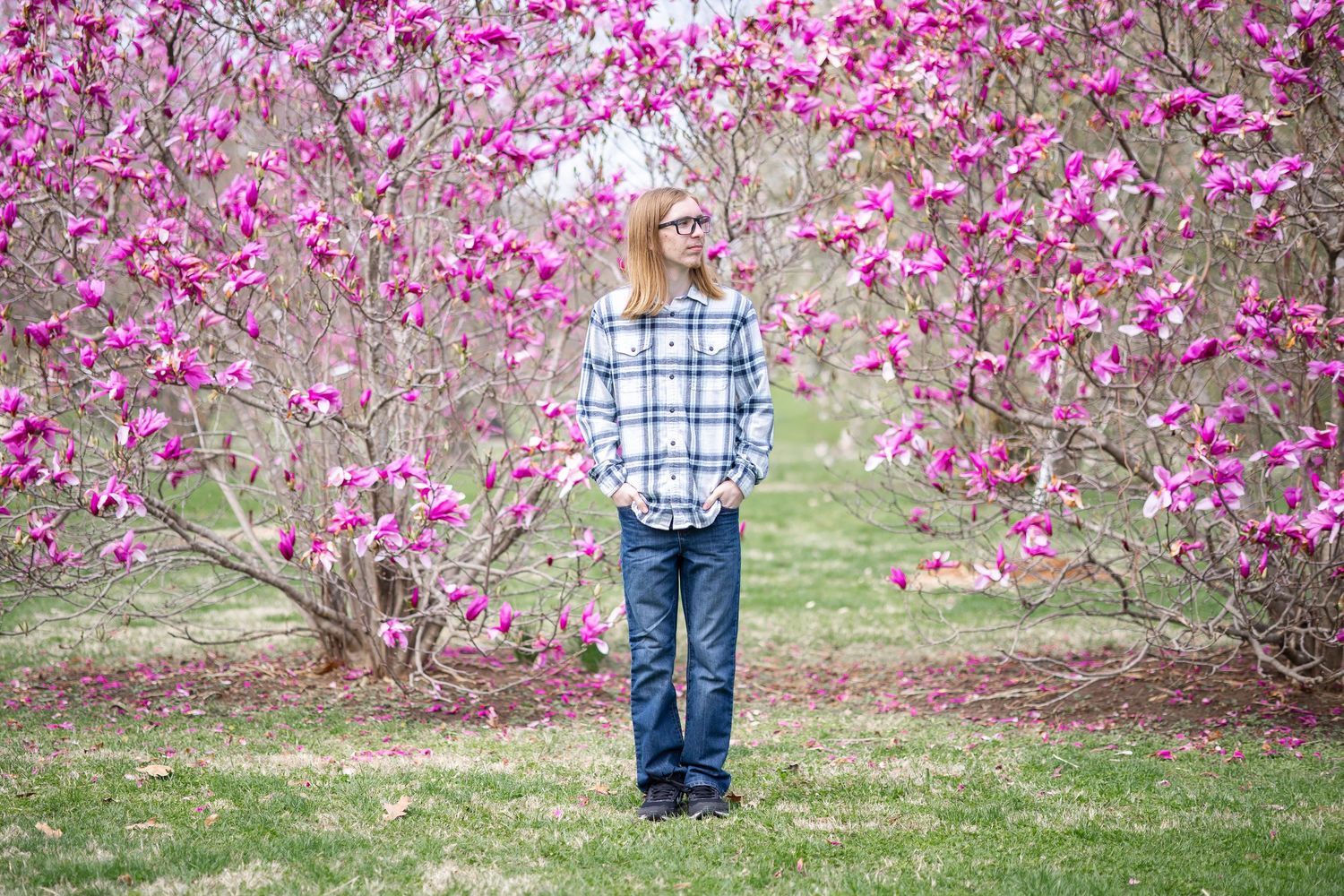 Springfield, IL senior photographer captures a senior in front of a pink flowering tree during a session in Central, IL
