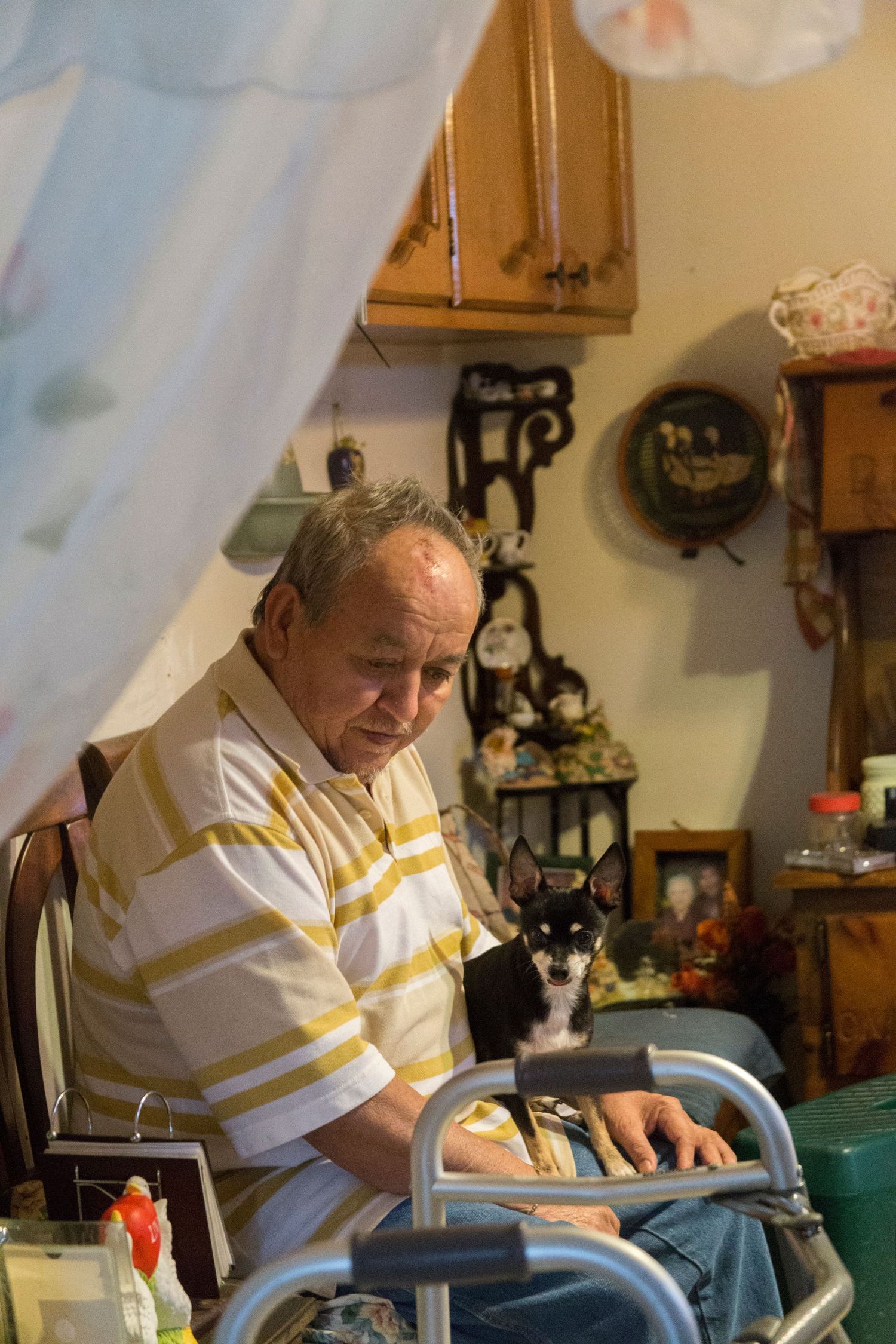 A person in a striped shirt sits in their home workshop with a cat, surrounded by decorative items and wooden cabinets.