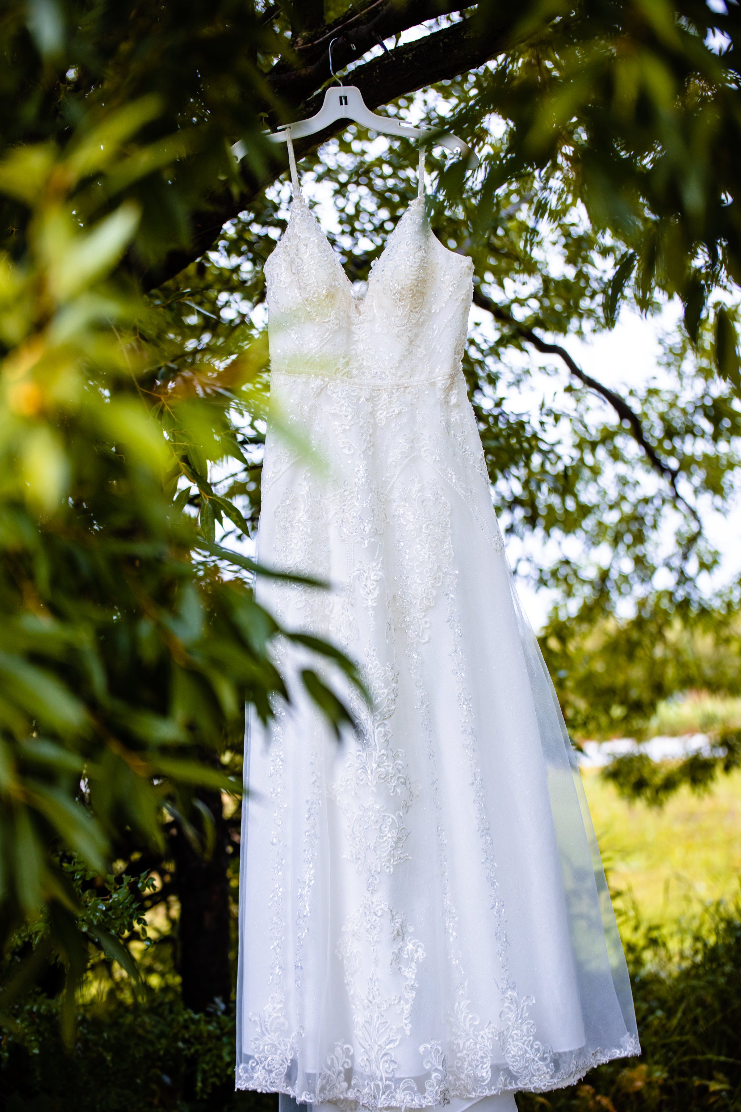 A white lace wedding dress hangs from a hanger outdoors among green leaves.