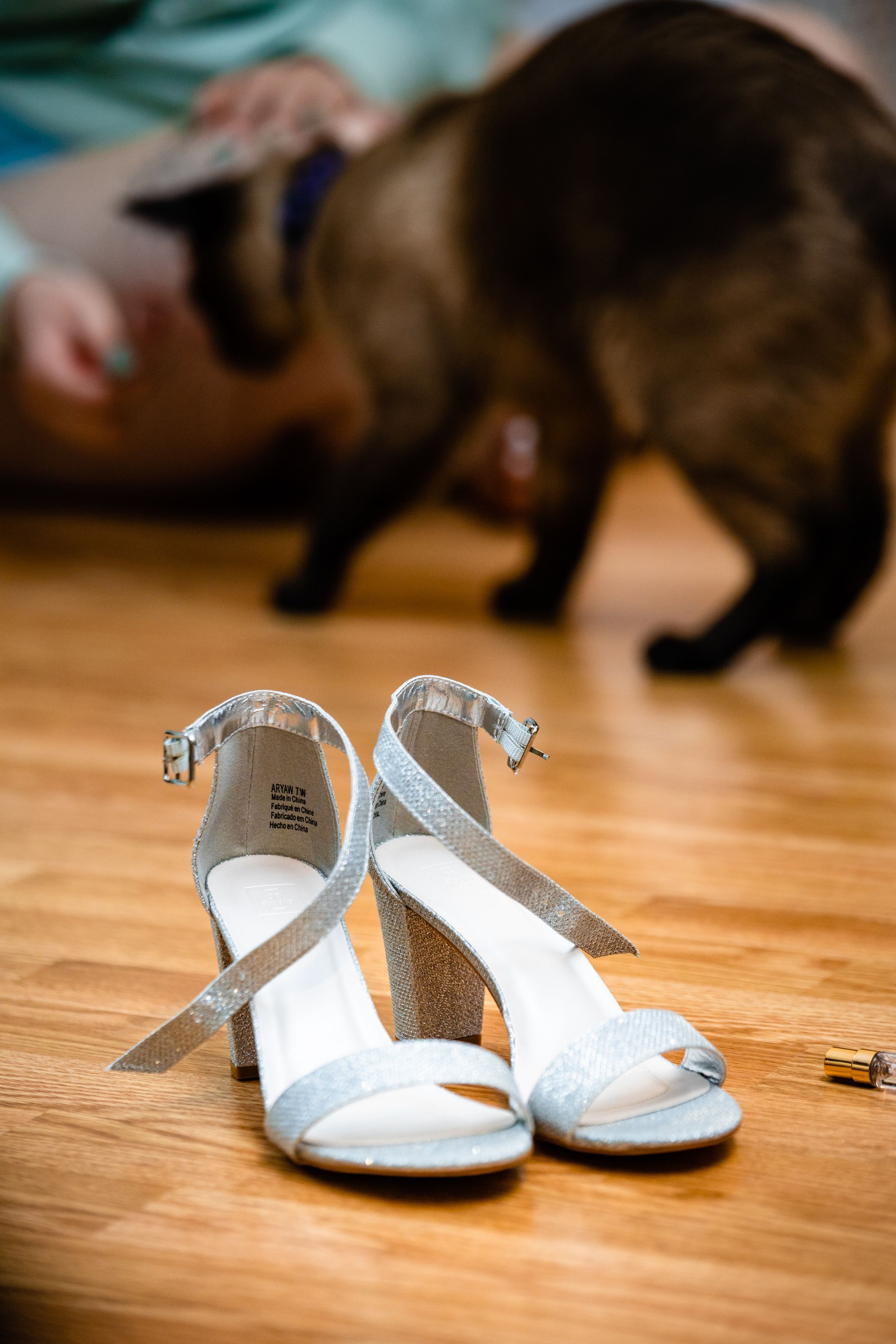 White bridal heels on wooden floor with a blurry cat in the background.