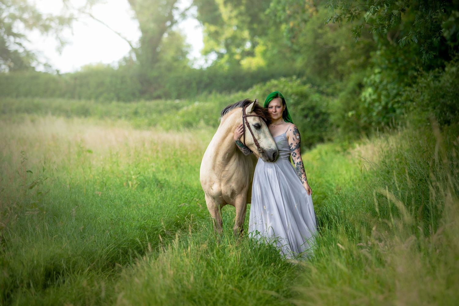 horse photography