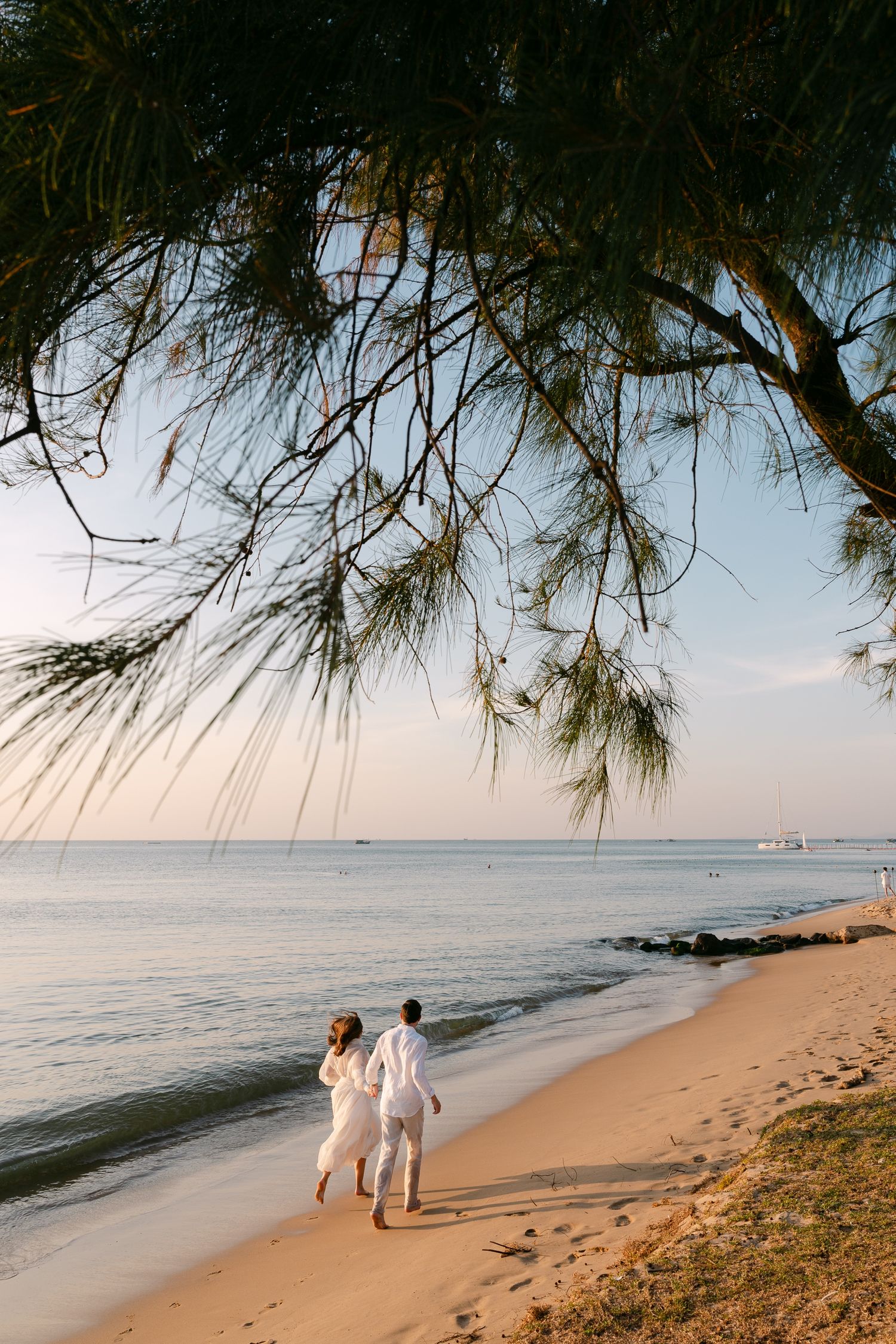 Couple in white walking on a sandy beach at sunset under pine tree branches by calm ocean waters.