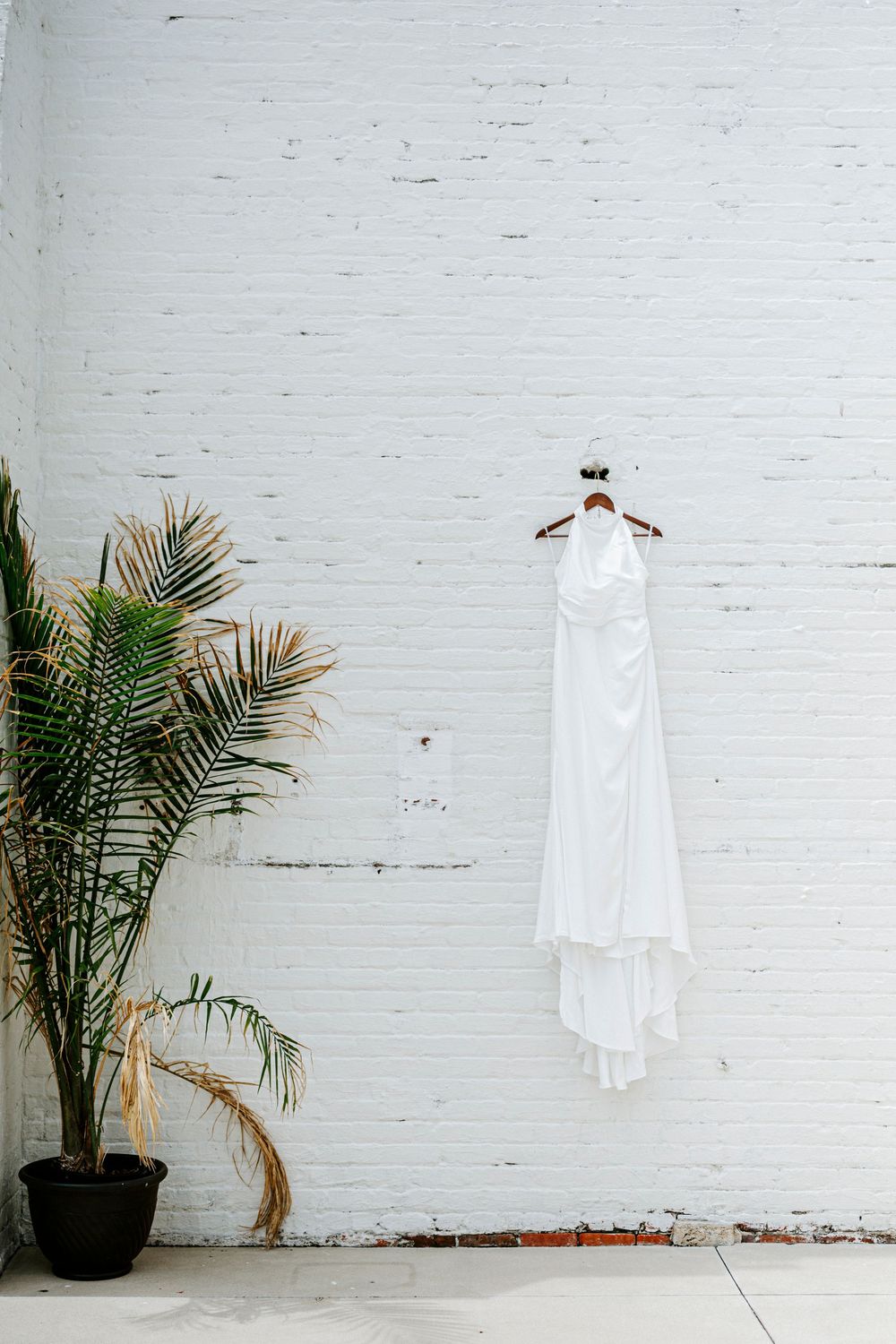 White wedding dress hanging on wooden hanger against white brick wall beside tropical palm plant.