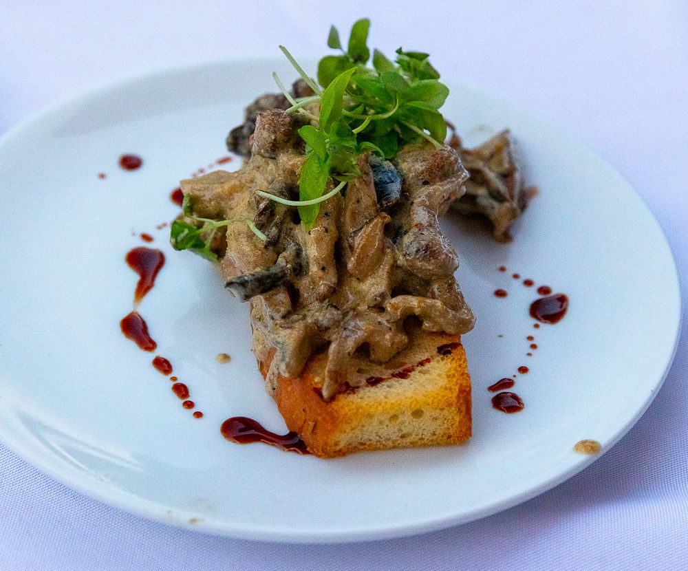 Elegant mushroom ragout on toasted bread with microgreens and red wine reduction on a white plate.