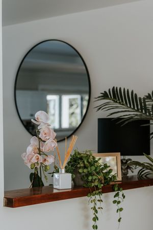 Wooden shelf with pink orchids, reed diffuser, and trailing plants beneath a round black-framed mirror on a white wall.