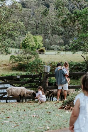 Family feeding sheep on a lush green farm with wooden fence and rolling hills in background.