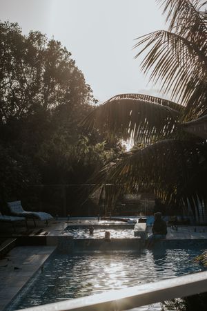 Tropical pool at sunset with palm trees, lush greenery, and swimmers relaxing in warm golden light.