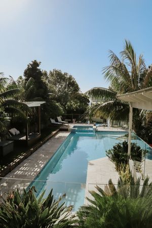 Luxurious outdoor swimming pool surrounded by tropical palm trees and lush greenery under a clear blue sky.
