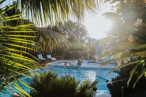 Sunlit tropical pool surrounded by lush palm trees with swimmers enjoying the crystal-clear water at a luxury resort.