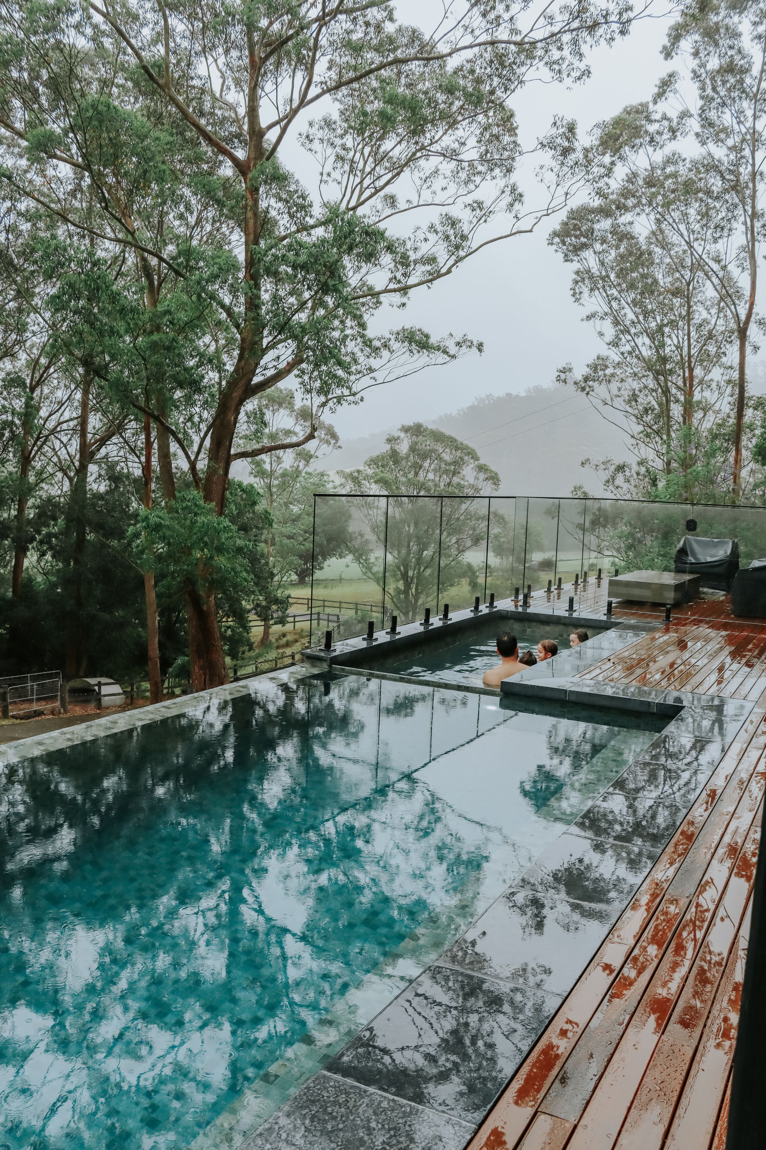 Infinity pool with glass railings on a wooden deck surrounded by misty eucalyptus trees and mountain views.