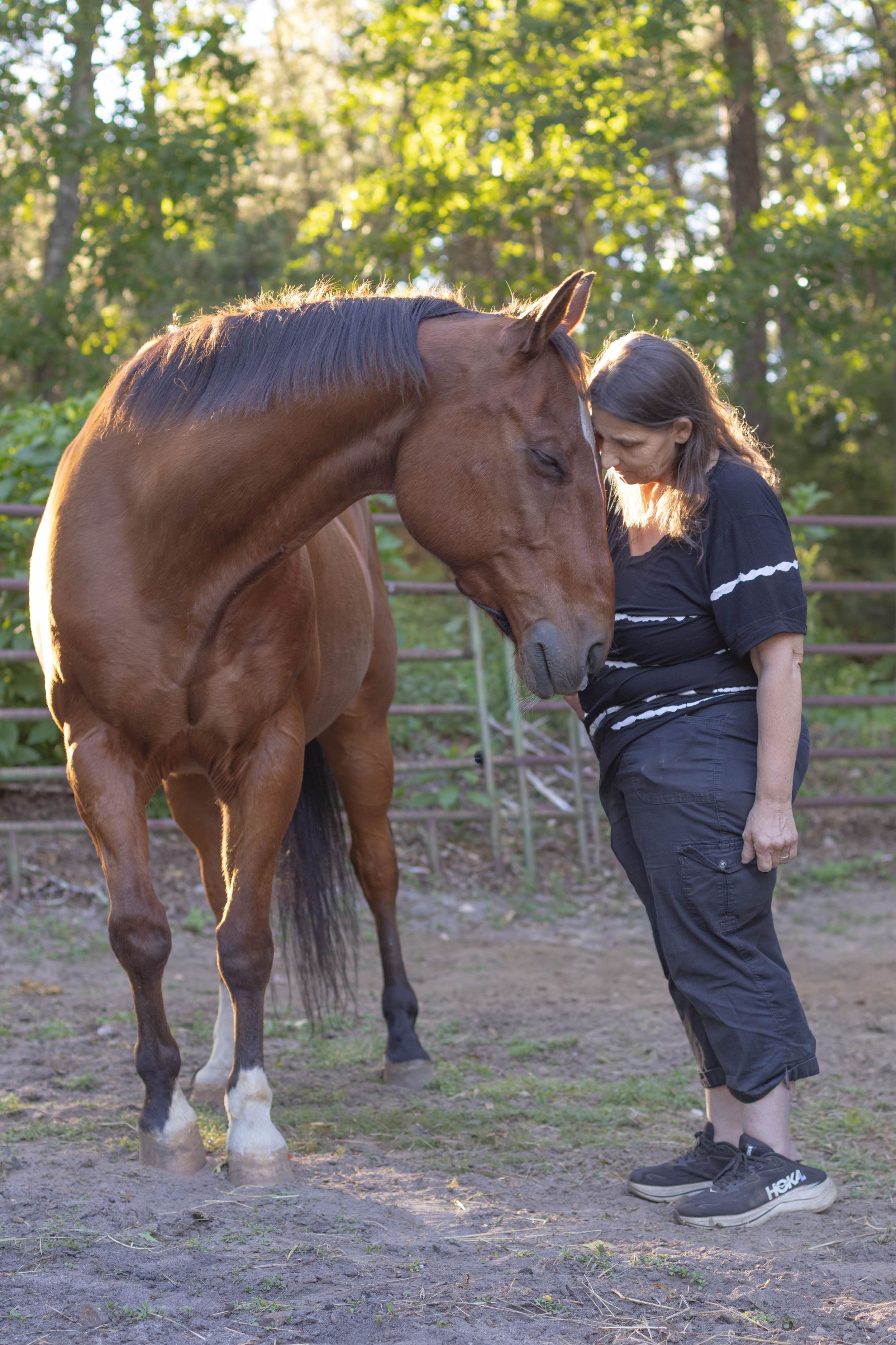 Woman bonding with a chestnut bay horse in an outdoor paddock surrounded by green trees.