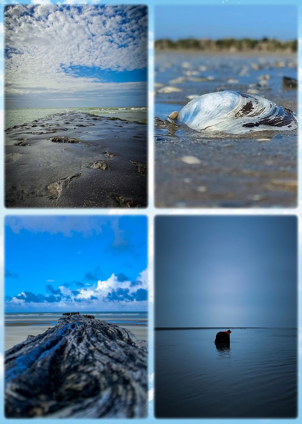 Une balade au bord de l'eau, à Berck-sur-Mer, photographie nature pour décoration intérieure et murale.