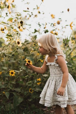 A young blonde girl in a white dress reaches out to touch yellow sunflowers in a lush garden field.