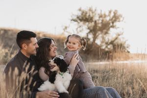 Happy family with young daughter and black-and-white dog sitting in golden field during warm sunset.