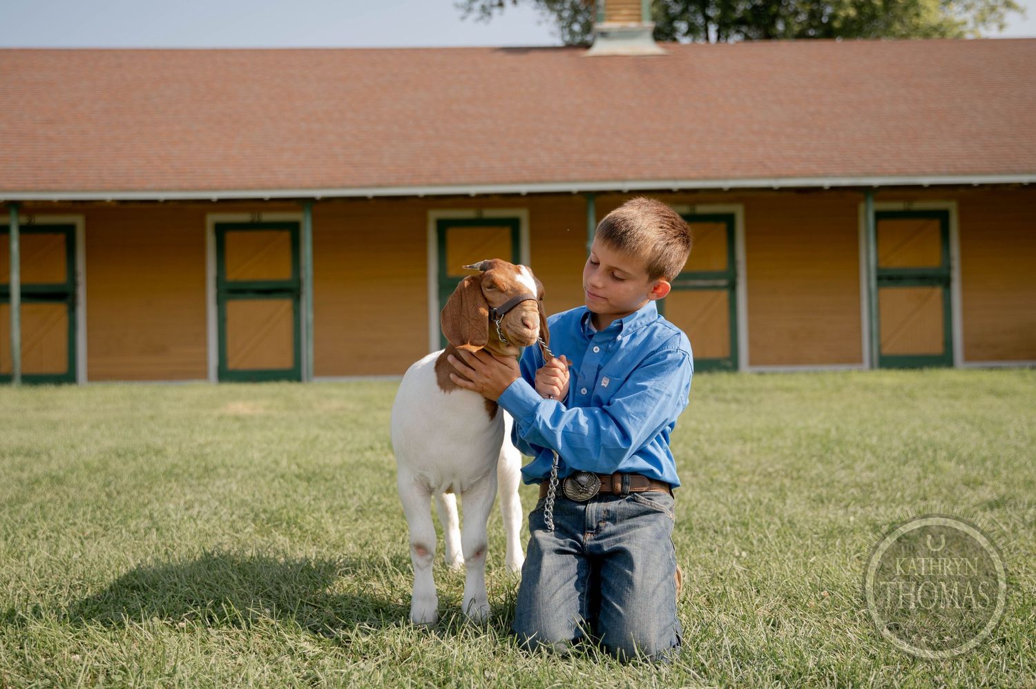 Boy in blue shirt kneeling on grass with a white and brown goat near a yellow farm building.