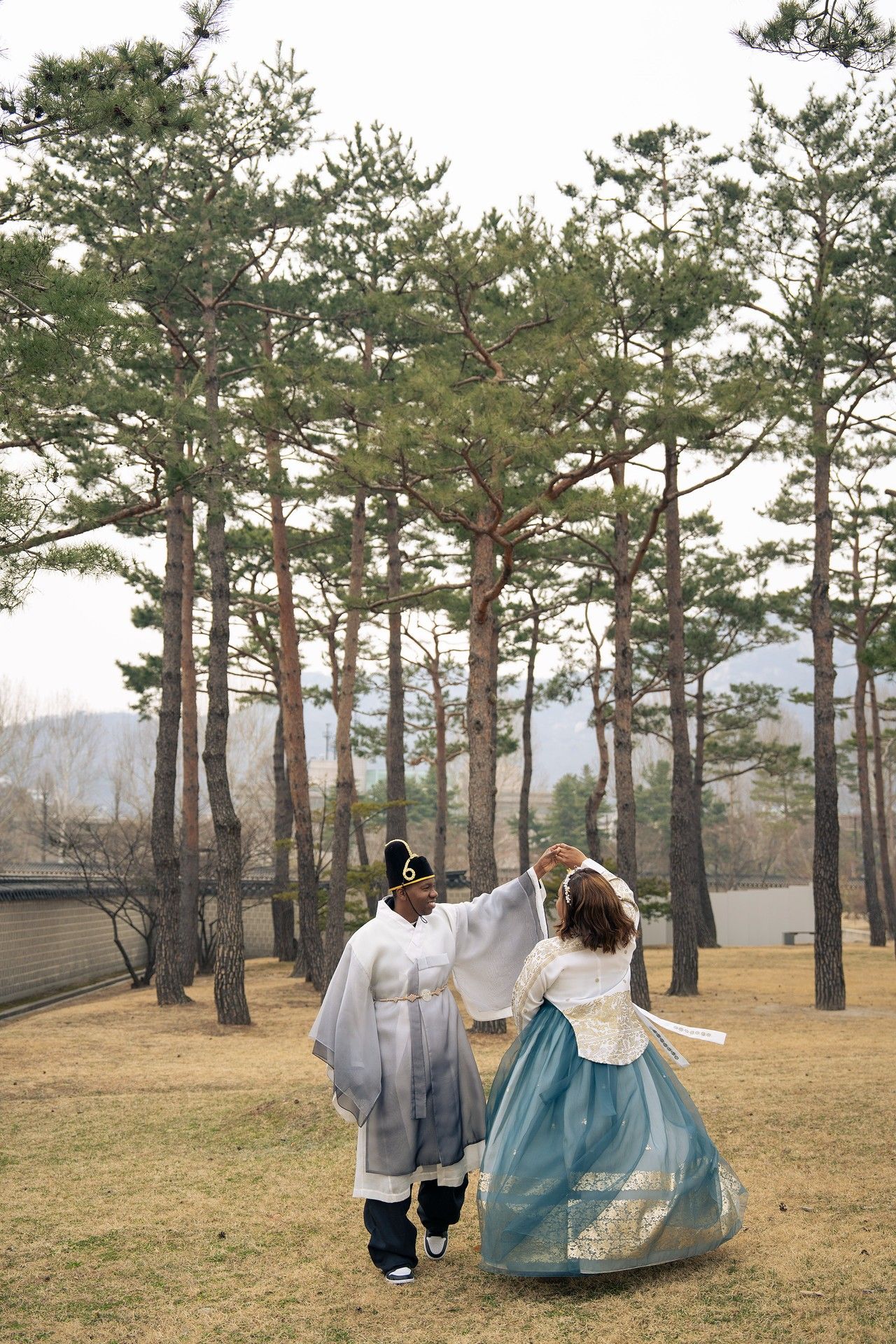 Couple in traditional Korean hanbok dancing outdoors among tall pine trees on a overcast day.