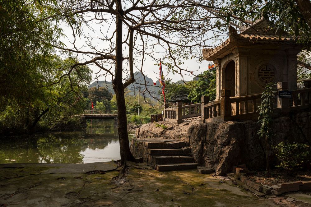 Stone pagoda beside a tranquil pond in a lush Chinese garden with rocky steps and ancient trees.