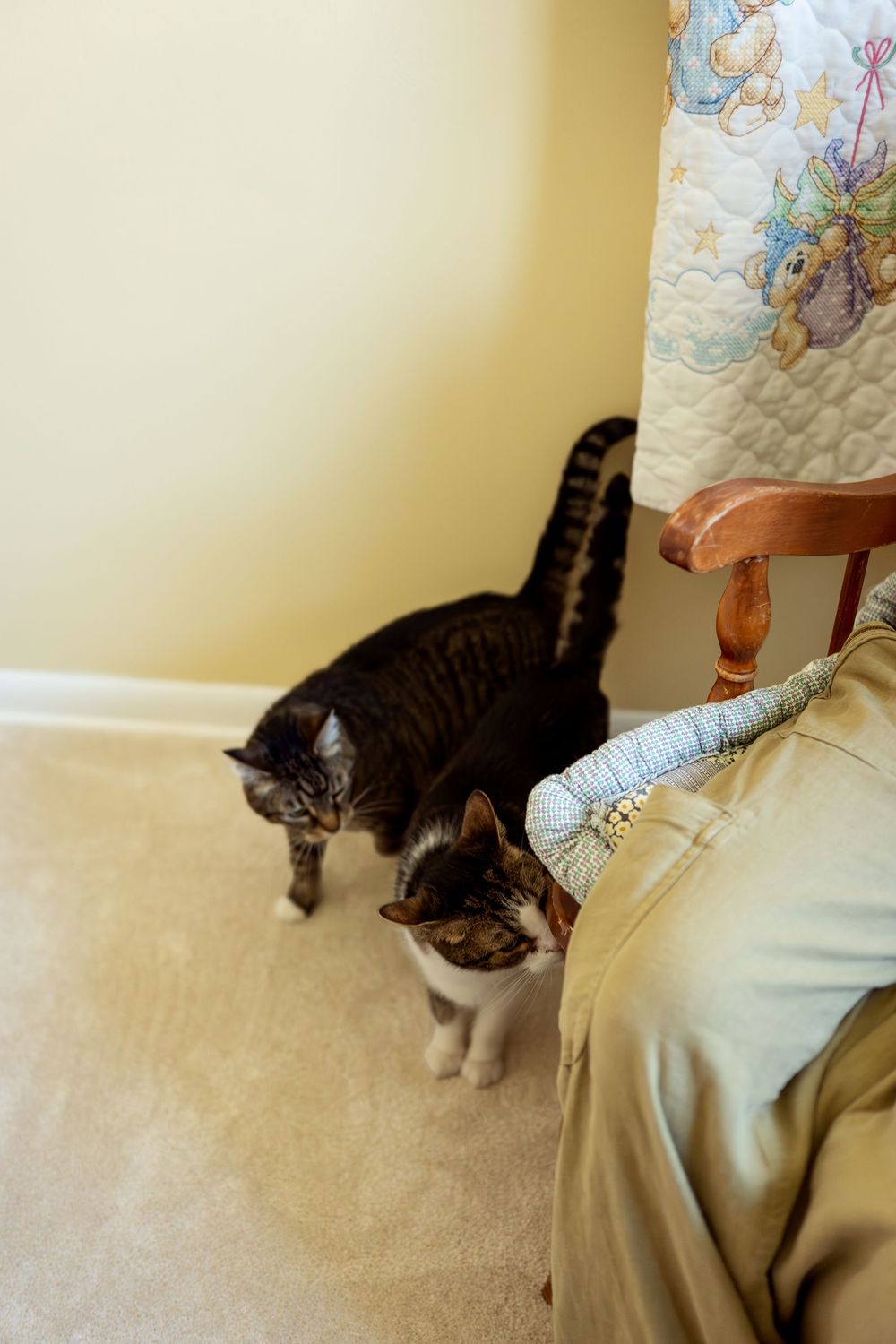 Two cats, one tabby and one calico, stand curiously beside a wooden rocking chair in a nursery.