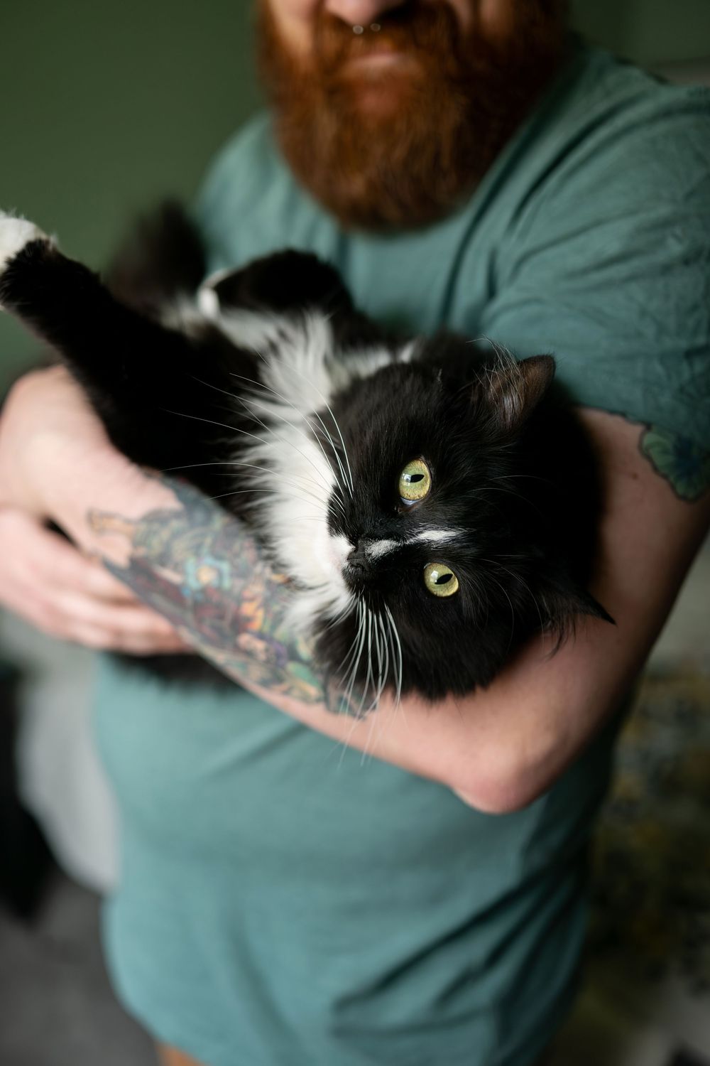 Bearded tattooed man holds fluffy black and white tuxedo cat.