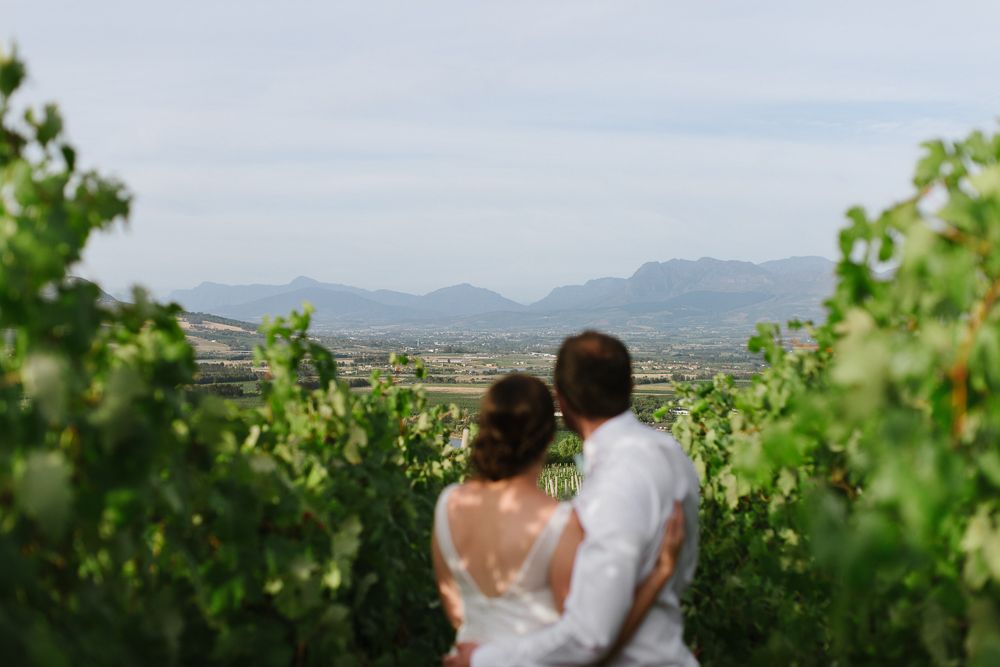 A bride and groom stand among lush vineyard rows, gazing at a scenic mountain valley landscape.