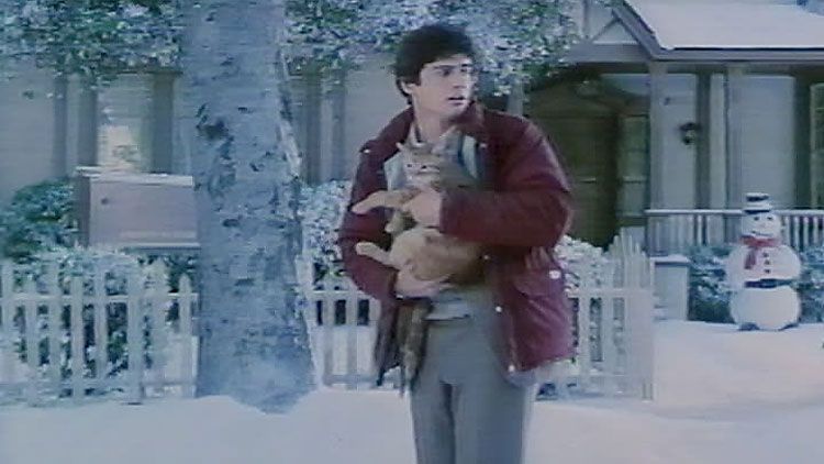 Billy saves Mrs Deagle's cat