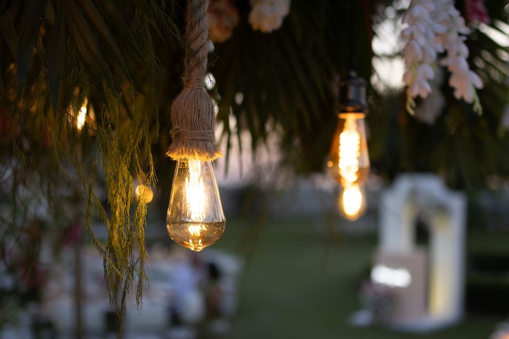 Vintage Edison bulb string lights hanging outdoors at a garden wedding venue at dusk.