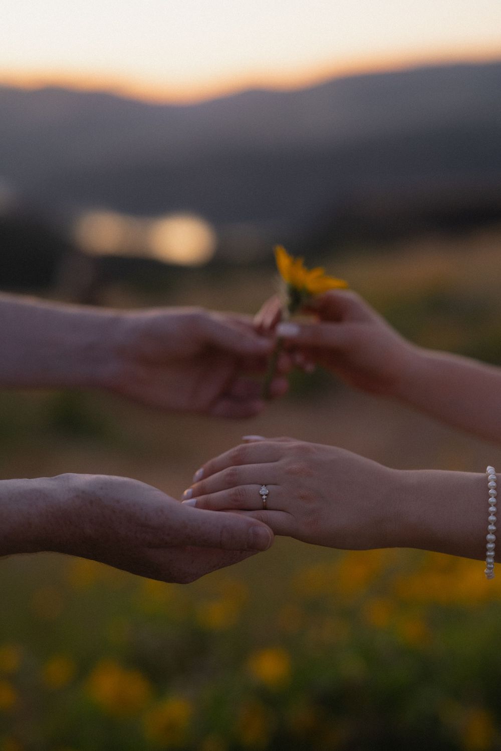 Close-up of couple holding hands with engagement ring and yellow wildflower at golden hour sunset.