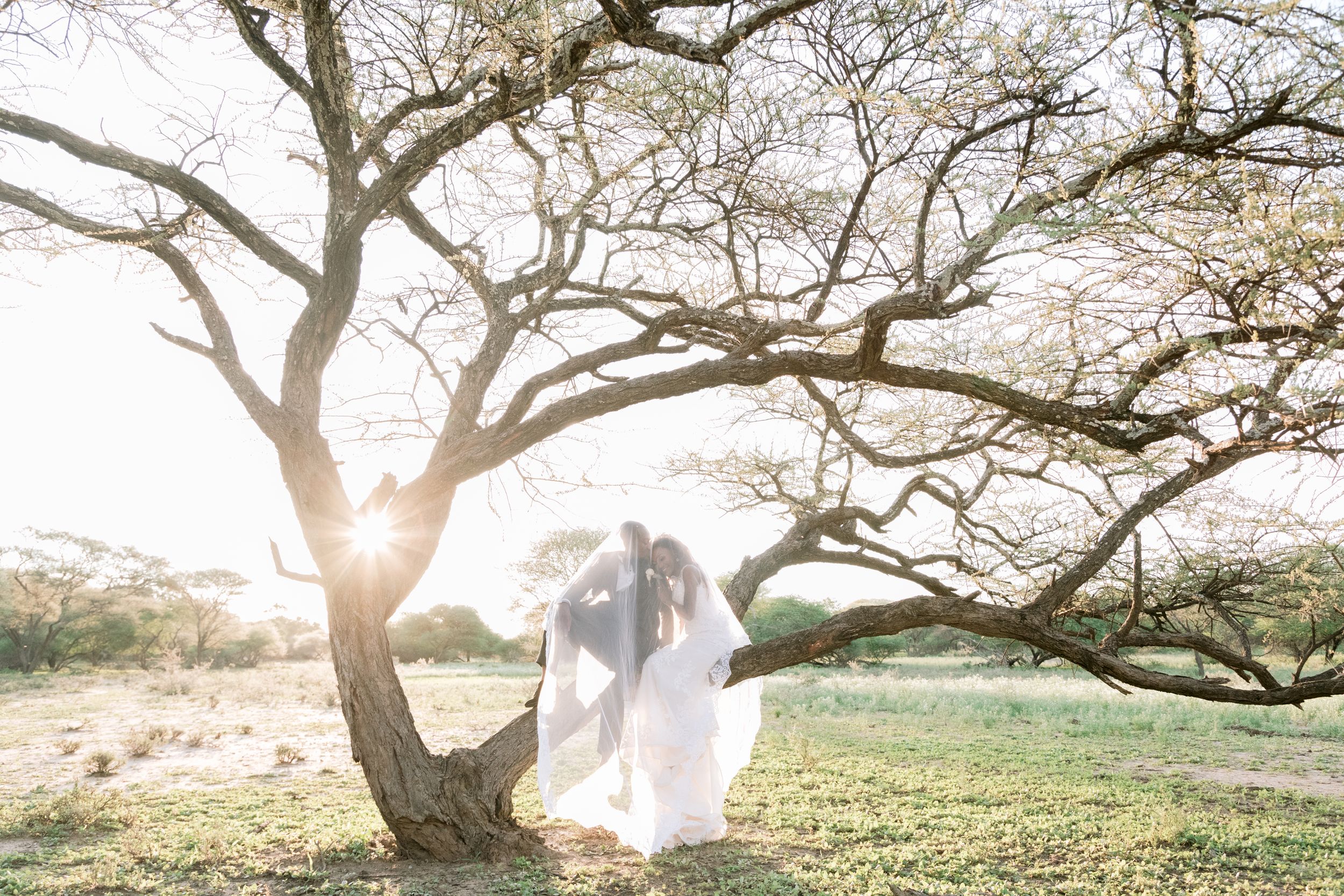 Bride and groom embracing under a sprawling tree with golden sunset light in a scenic outdoor setting.