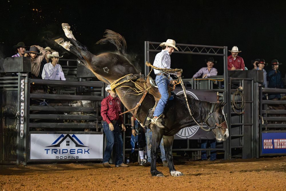 Cowboy rides a bucking black horse at a rodeo event with spectators watching under bright arena lights.
