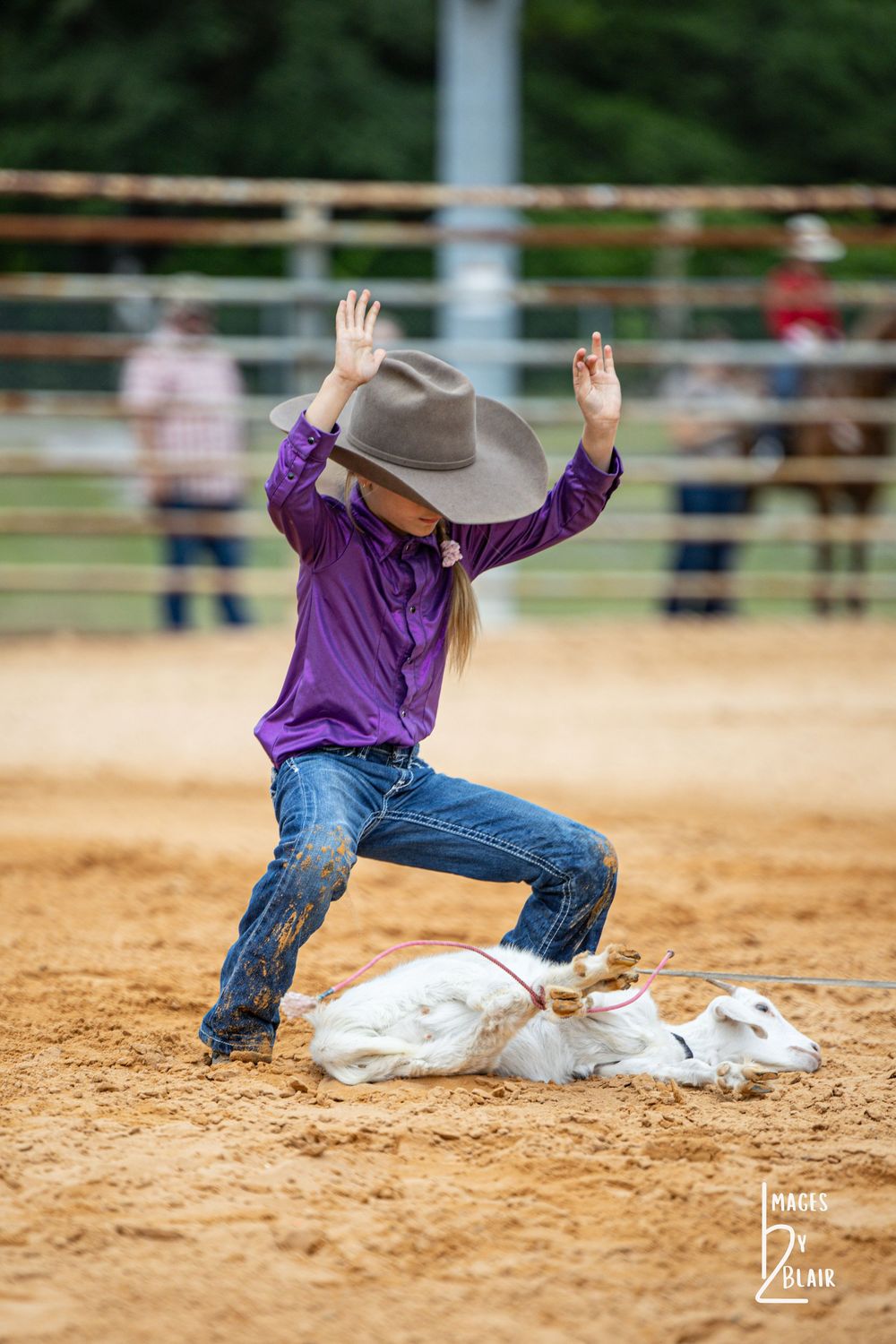 Young cowgirl in purple shirt and hat kneels over tied goat in rodeo arena during goat tying competition.