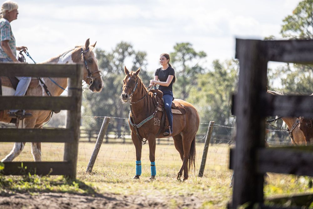 A young rider on a chestnut horse in a fenced paddock during an outdoor equestrian lesson on a sunny day.